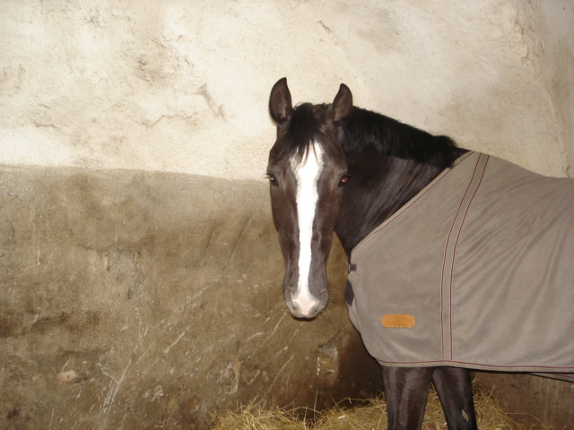 Skály 025-Rozárka.jpg