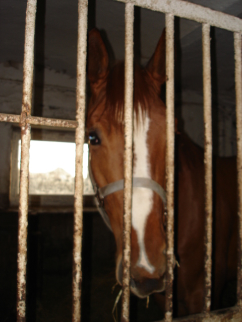 Skály 033-Rico.jpg