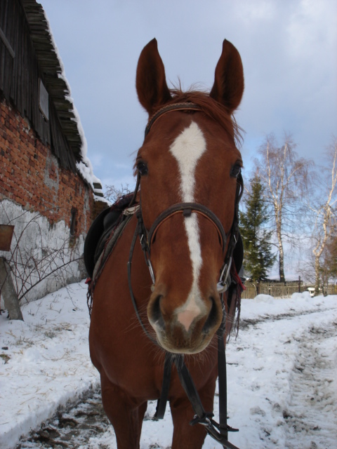 Skály 001- Dominka.jpg