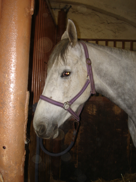 Skály 007-Benetka.jpg